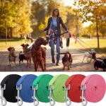 Wholesale Pet Leash Nylon Dog Training Leashes Walking Long Lanyard Traction Rope for Small Large Dogs Lead Item