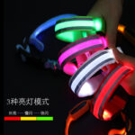 Wholesale Market New Dog Light Night Safety Led Dog Collar Glowing Bright Cat Collar Dog Luminous Collar GXQ01