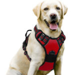 Dog leash pet harness nylon dog rope large dog harness pet supplies