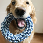 1pc Heavy Duty Chew Resistant Knot Dog Toy for Large Dogs Chewproof Rope with Knots for Tug Teething Solo Play Interactive Fun